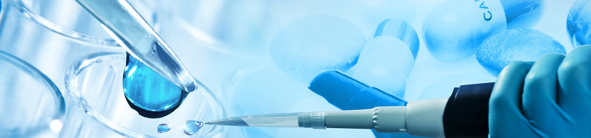 Makipag -ugnay sa amin